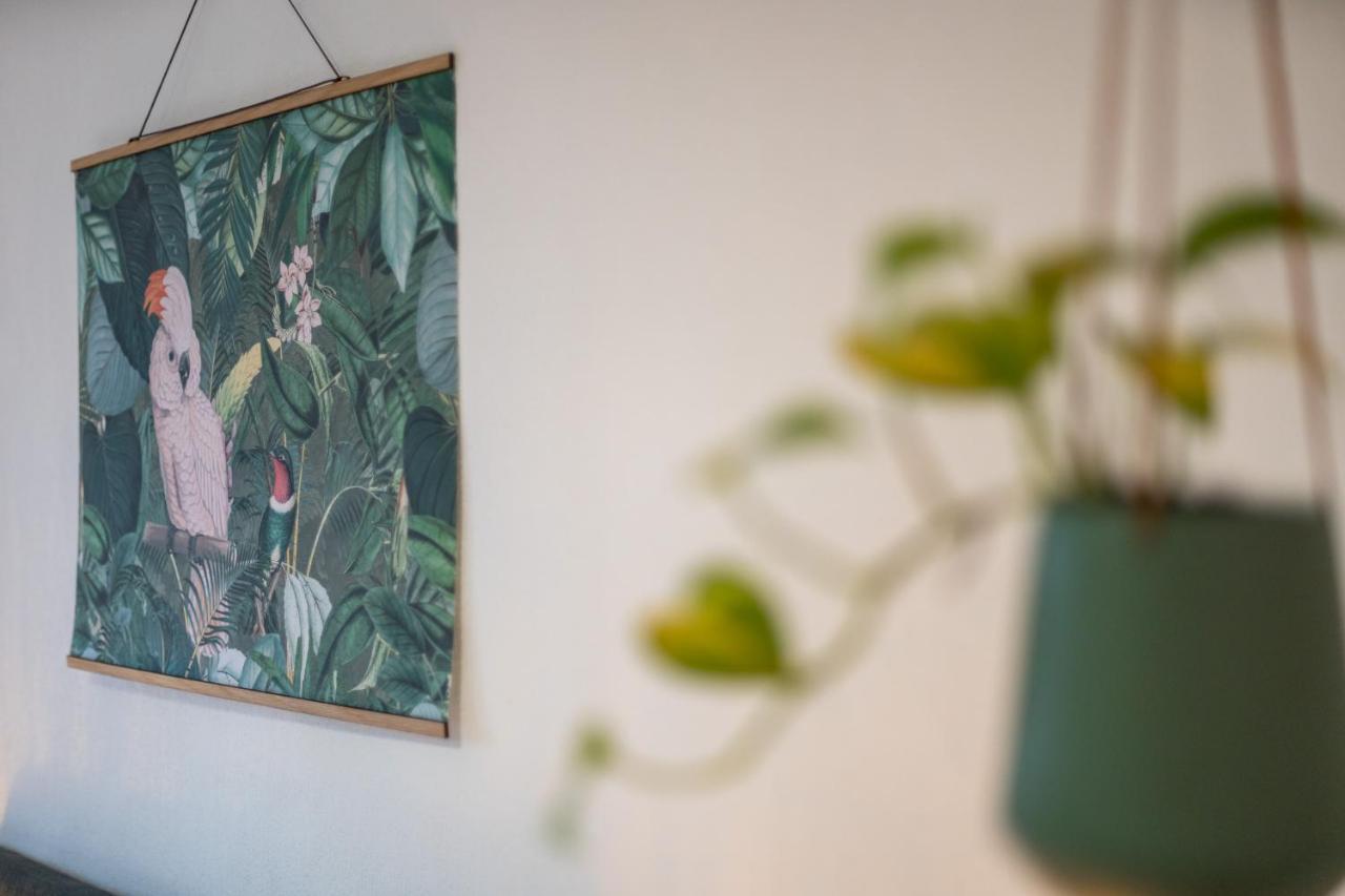 Kakadu - Zentral - Workplace - Gemeinschaftsterrasse, Snes Frankenberg an der Eder Luaran gambar